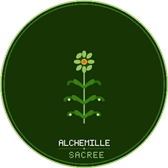 Logo Alchemille Sacrée