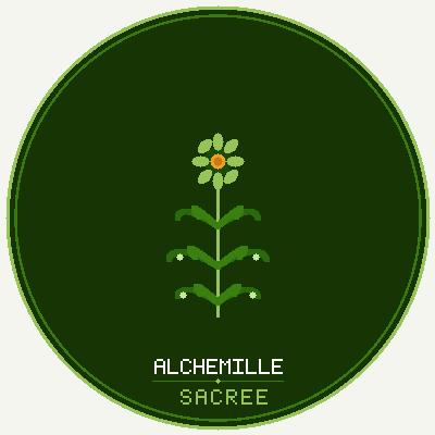 Logo Alchemille Sacrée